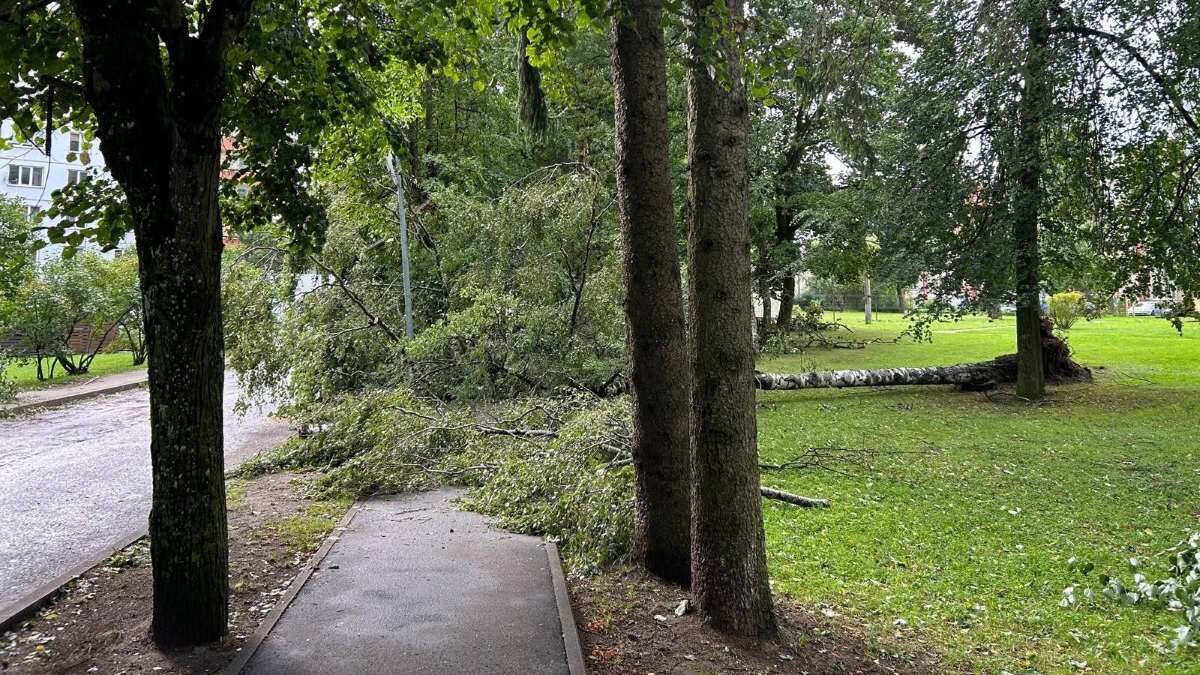 Par secinājumiem pēc 2026. gada 22.-23. augusta vētras un priekšlikumiem Ogres novada noturības stiprināšanai